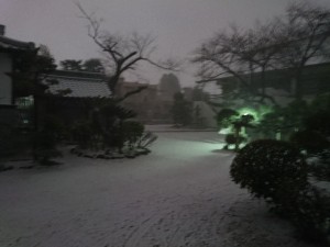 2017-01-14-1雪